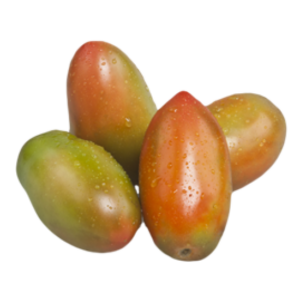 POMODORO OBLUNGO INSALATARO(ITALIA) KG.1