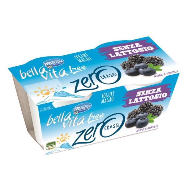YOGURT MORE & MIRTILLI BELLA VITA MERAN GR. 125 X 2