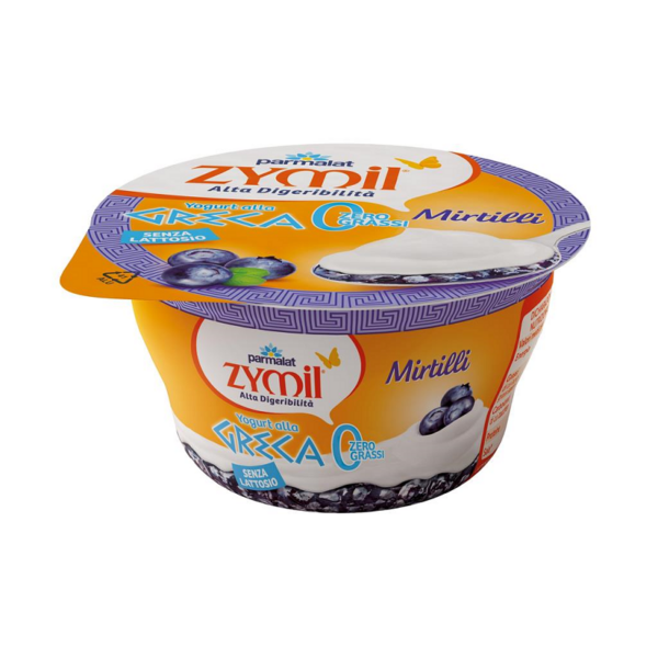 YOGURT GRECO AI MIRTILLI SENZA LATTOSIO ZYMIL GR. 150
