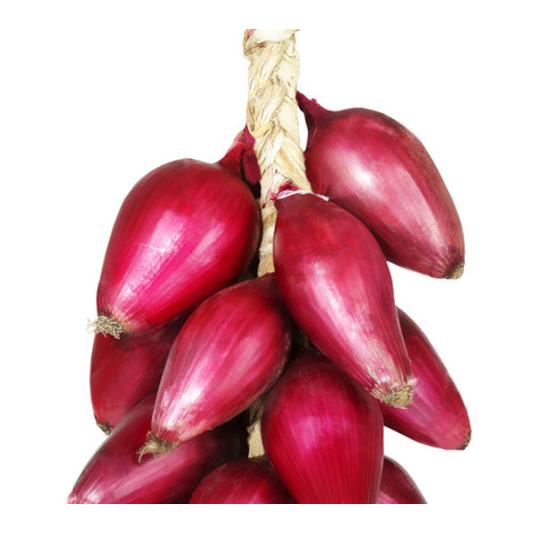 CIPOLLA TRECCIA KG. 1