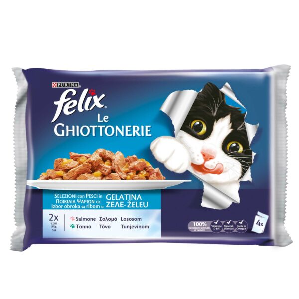 FELIX GHIOTTONERIE SALMONE & TONNO GR. 100 X 4
