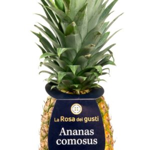 ANANAS ROSA DEI GUSTI 1KG