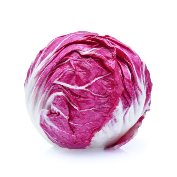 INS.ORCHIDEA 500GR