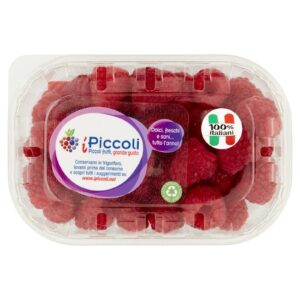 LAMPONI CONF.125G