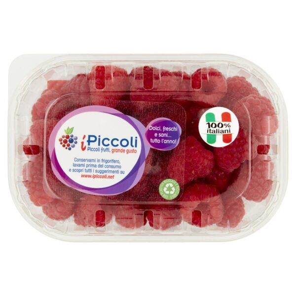 LAMPONI CONF.125G