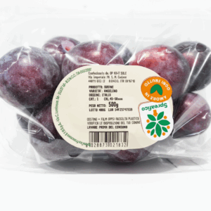 SUSINE ANGELENO.CONF.500G