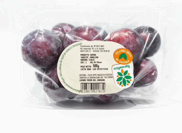 SUSINE ANGELENO.CONF.500G