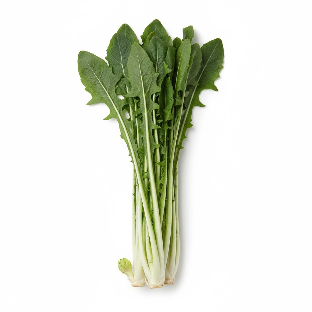 CATALOGNA KG. 1 (ITALIA)