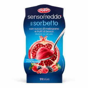 SORBETTO SENSO FREDDO CON SUCCO DI FRUTTA MELOGRANO E FRUTTI DI BOSCO PRONTO DA GELARE DOLFIN 2 X 100 ML