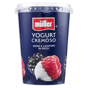 YOGURT CREMOSO MORE & LAMPONI MULLER GR 500