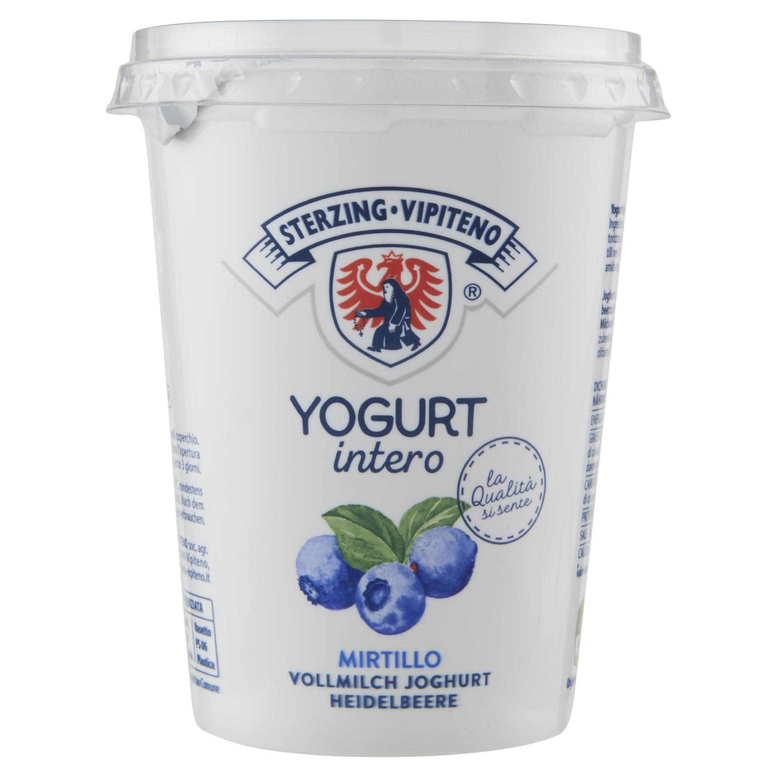 STERZING VIPITENO YOGURT INTERO MIRTILLO 500 G